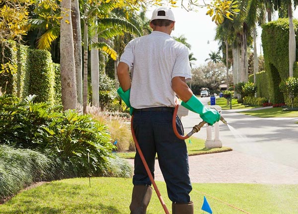 About Lake Worth FL Pest Control